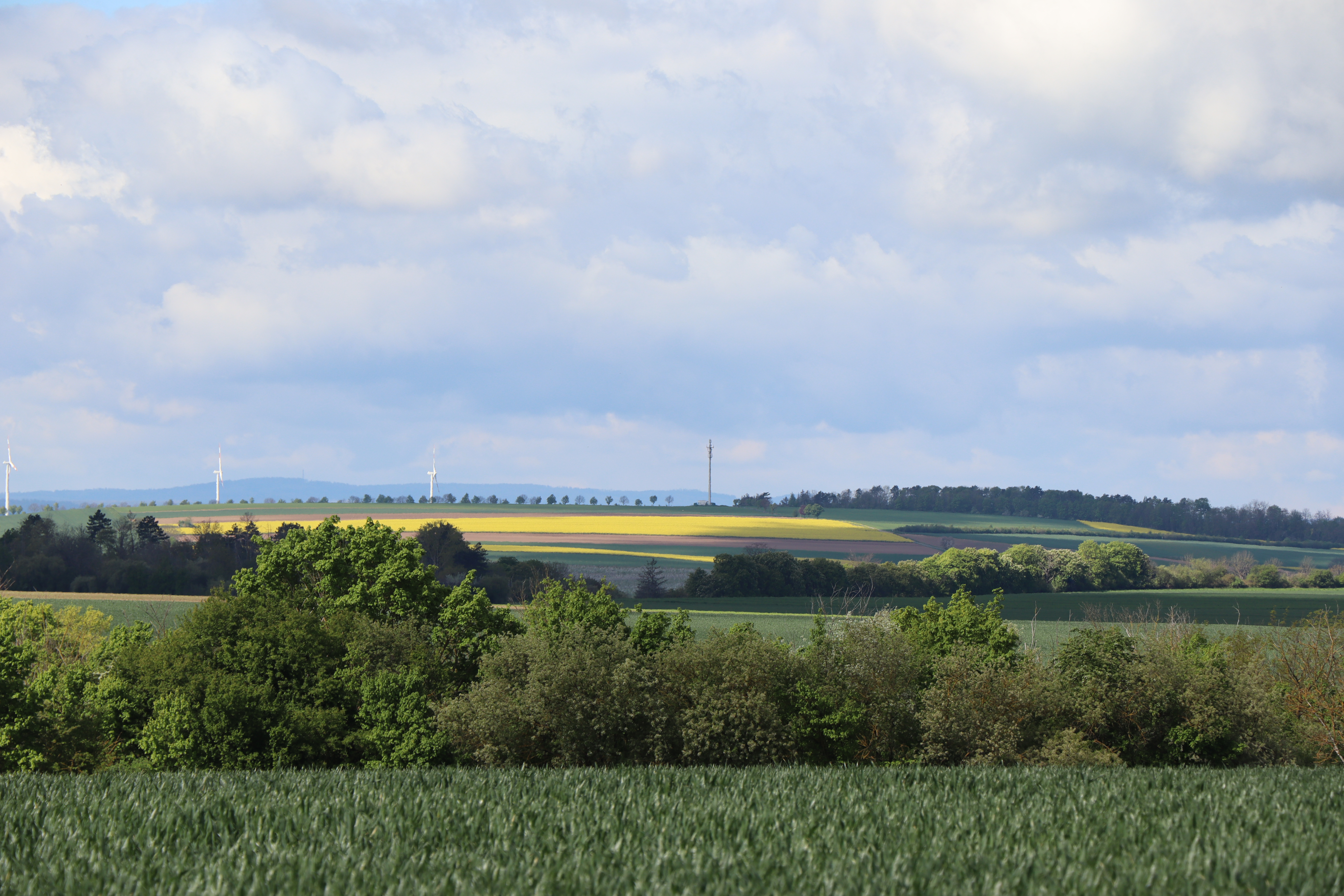 Wipperradweg